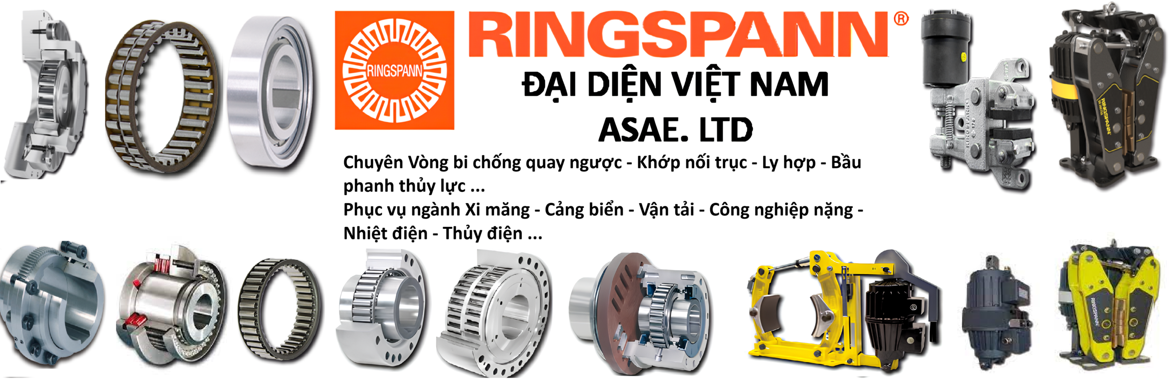 BANNER ĐẠI DIỆN RINGSPANN EU