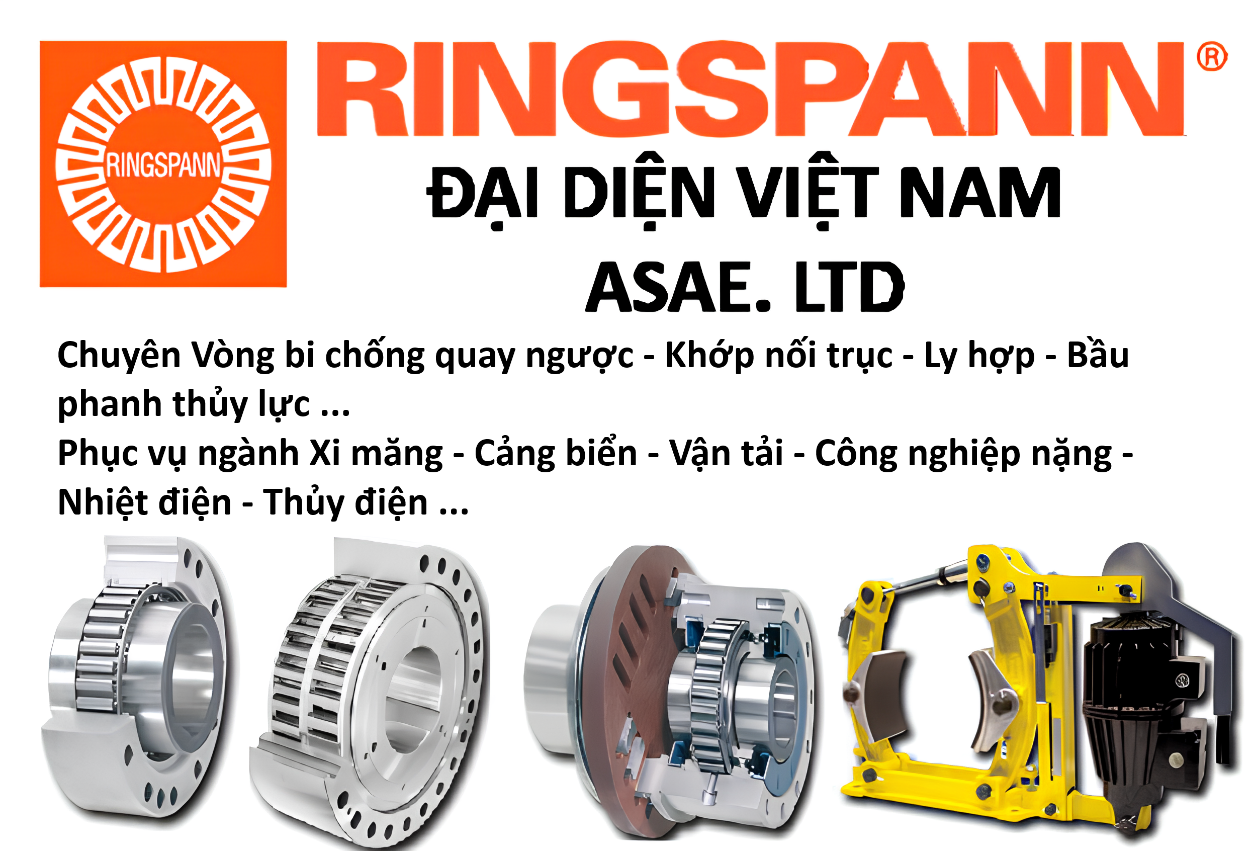 RINGSPANN ĐẠI DIỆN VIỆT NAM