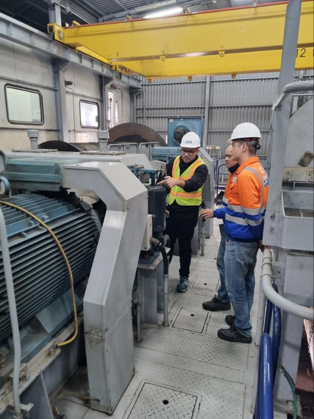 ĐẠI DIỆN RINGSPANN VIỆT NAM